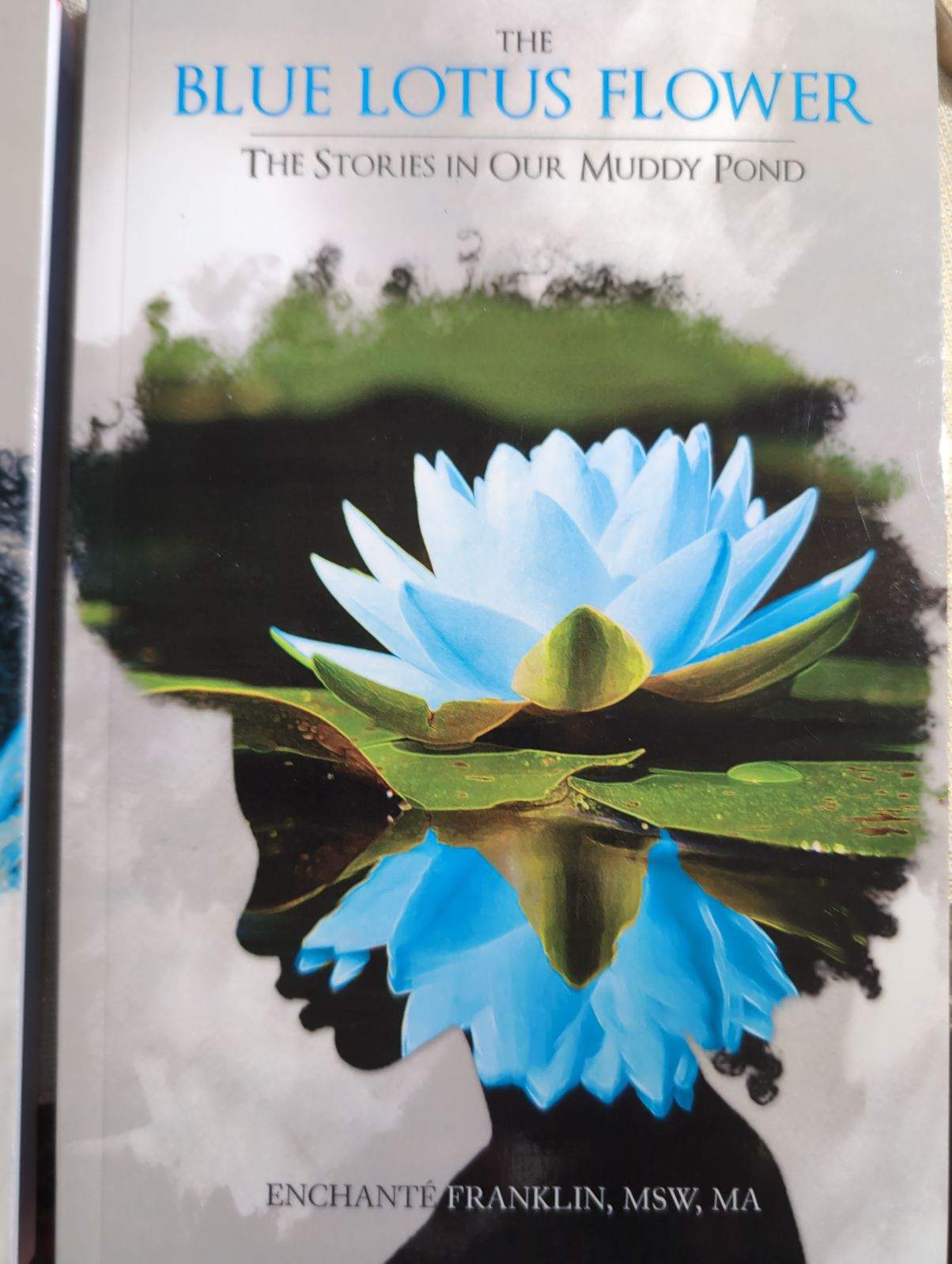 The Blue Lotus Flower Book Bundle